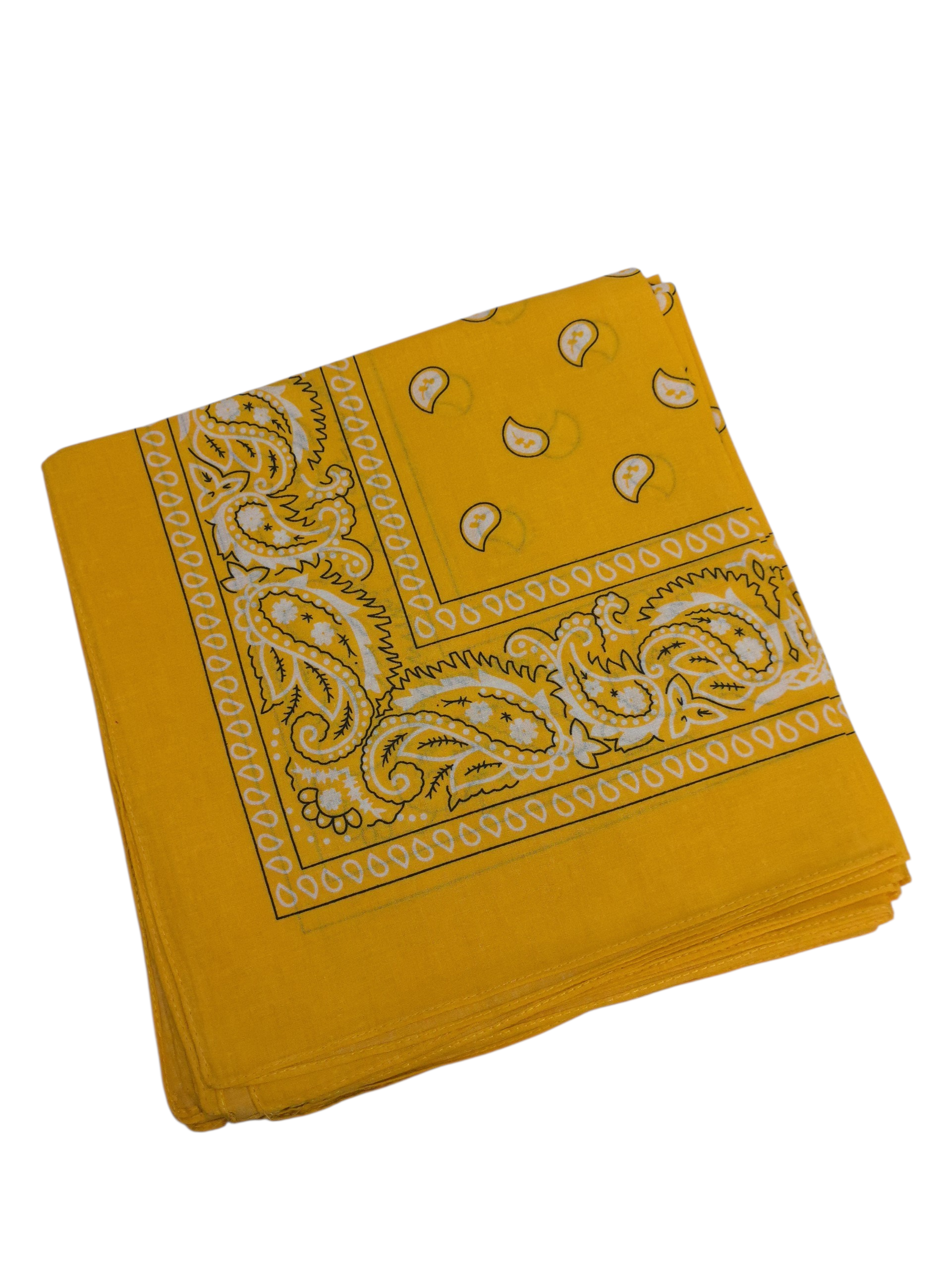 Bandana 100% coton Motif Paisley (x12)
