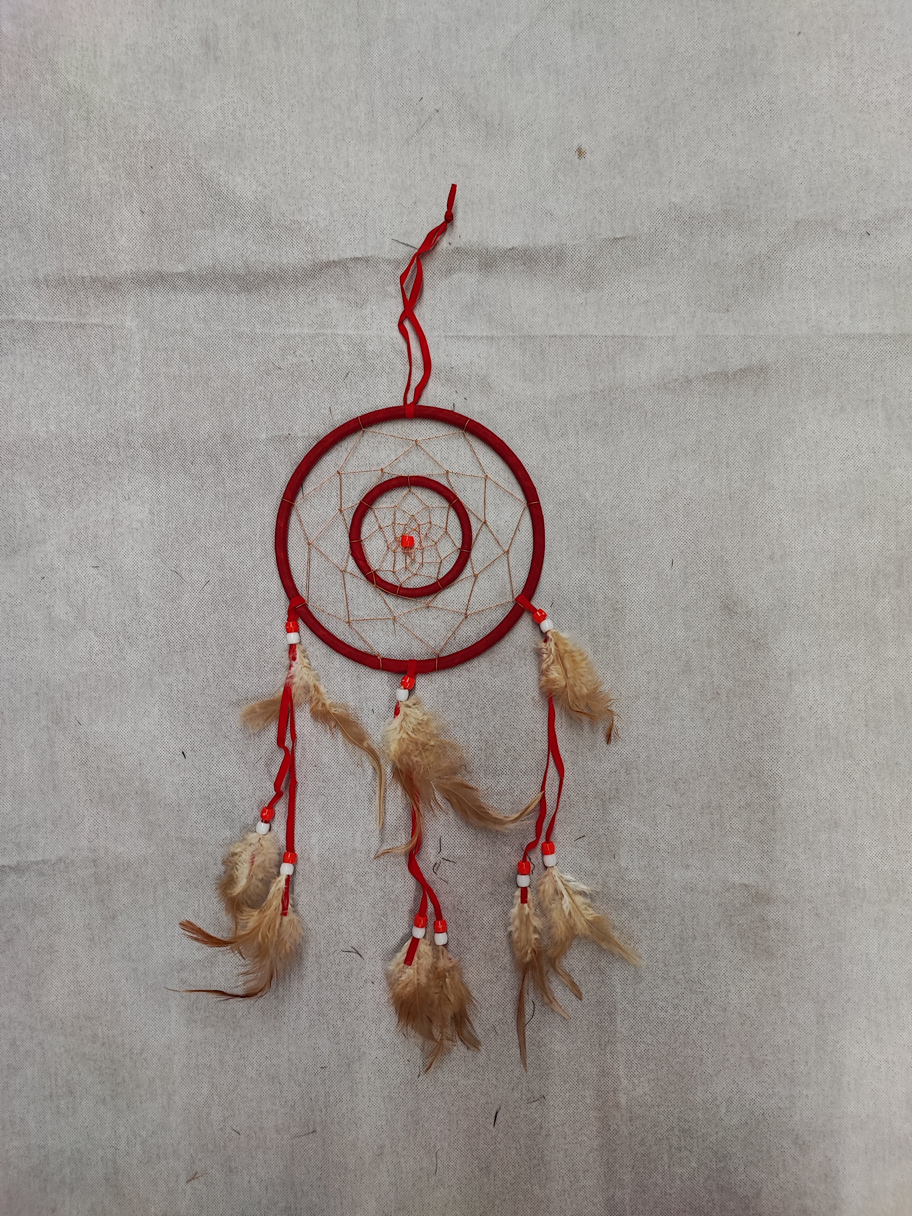 Déco Attrape-rêve raison (x12)