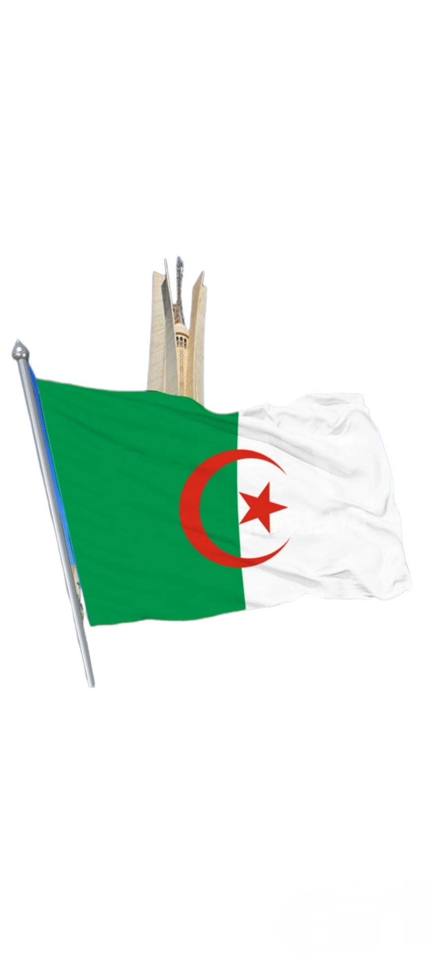 Drapeau Grand format pays au choix 150x90cm (x12)