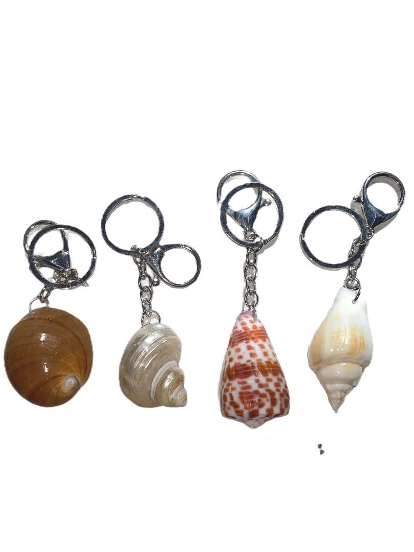 LOT DE 12 - Porte-clé coquillage - Décoration naturelle et bohème 1,00€/unité | Grossiste-pro