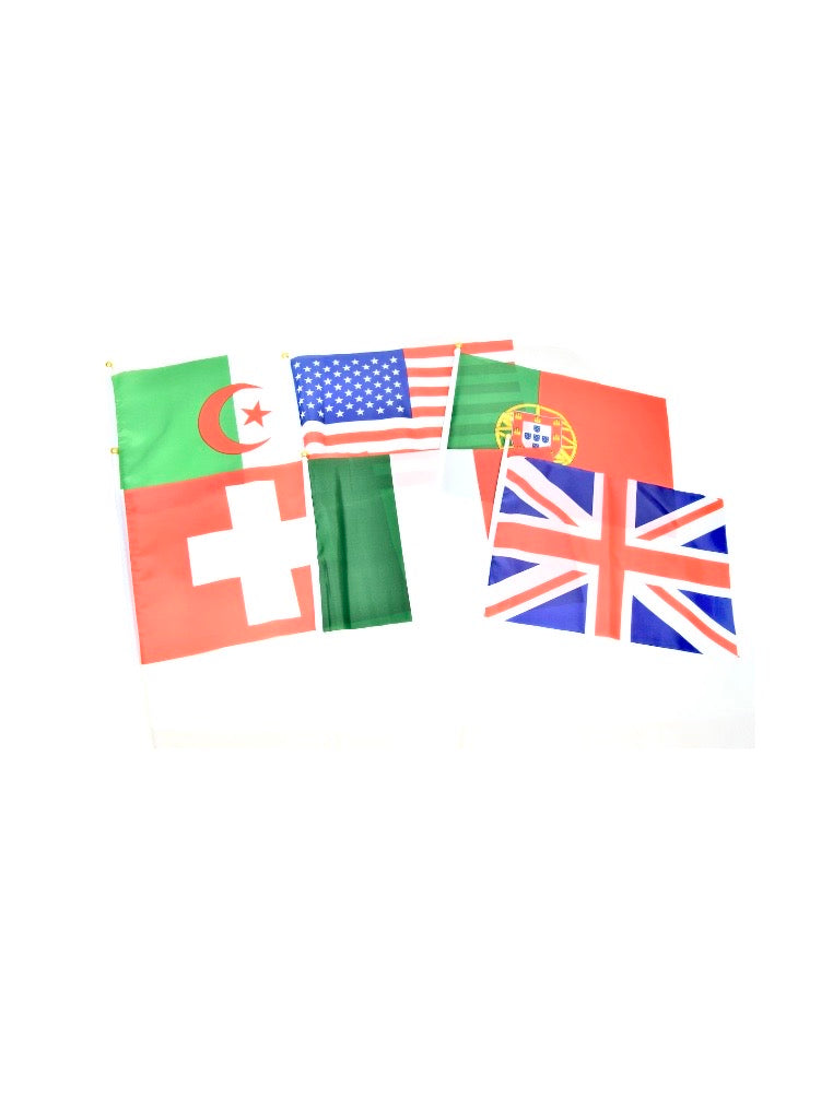 Drapeau Moyen format pays au choix (x12)