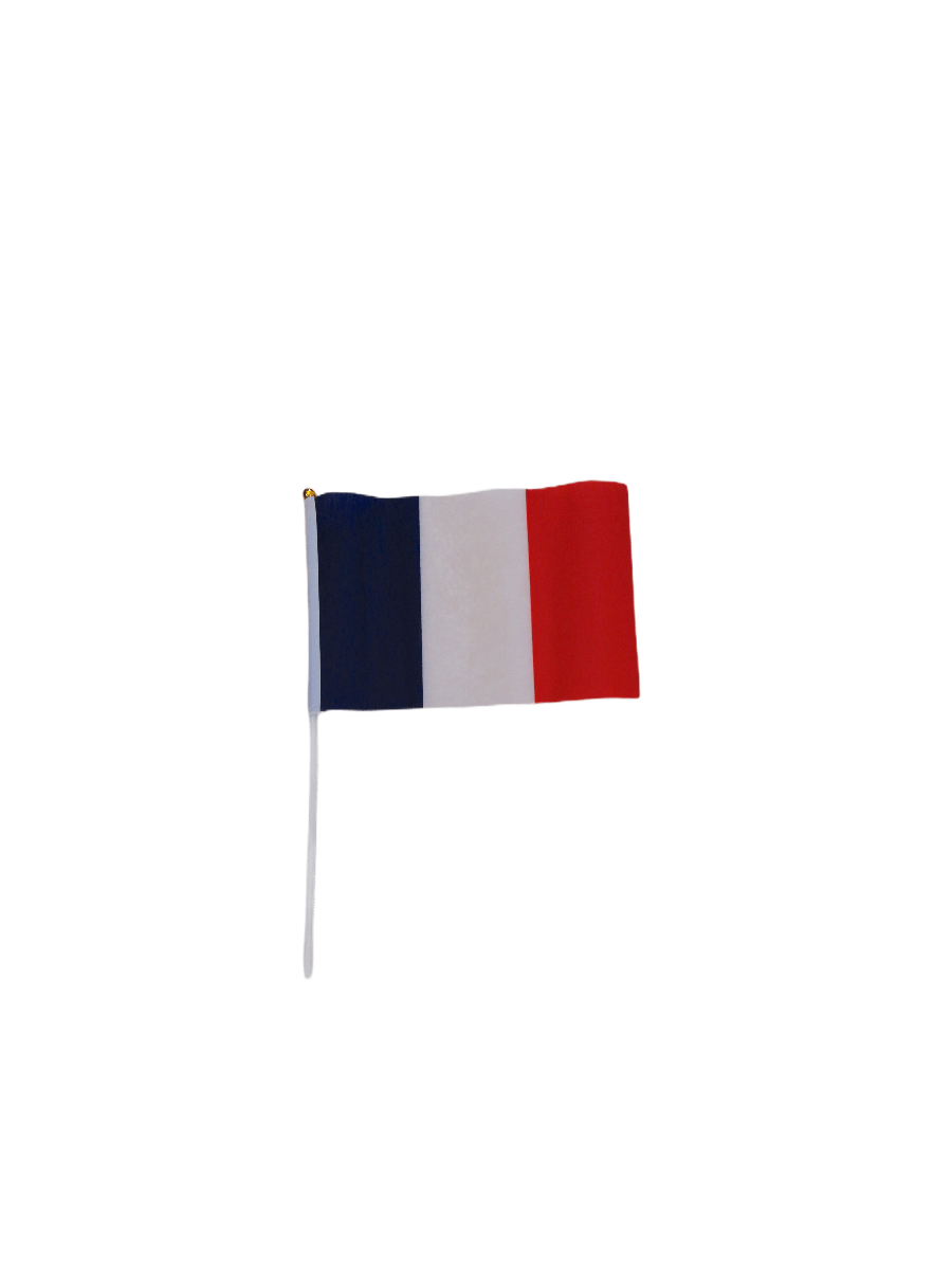 LOT DE 12 - petit drapeau France 0,80€/unité | Grossiste-pro