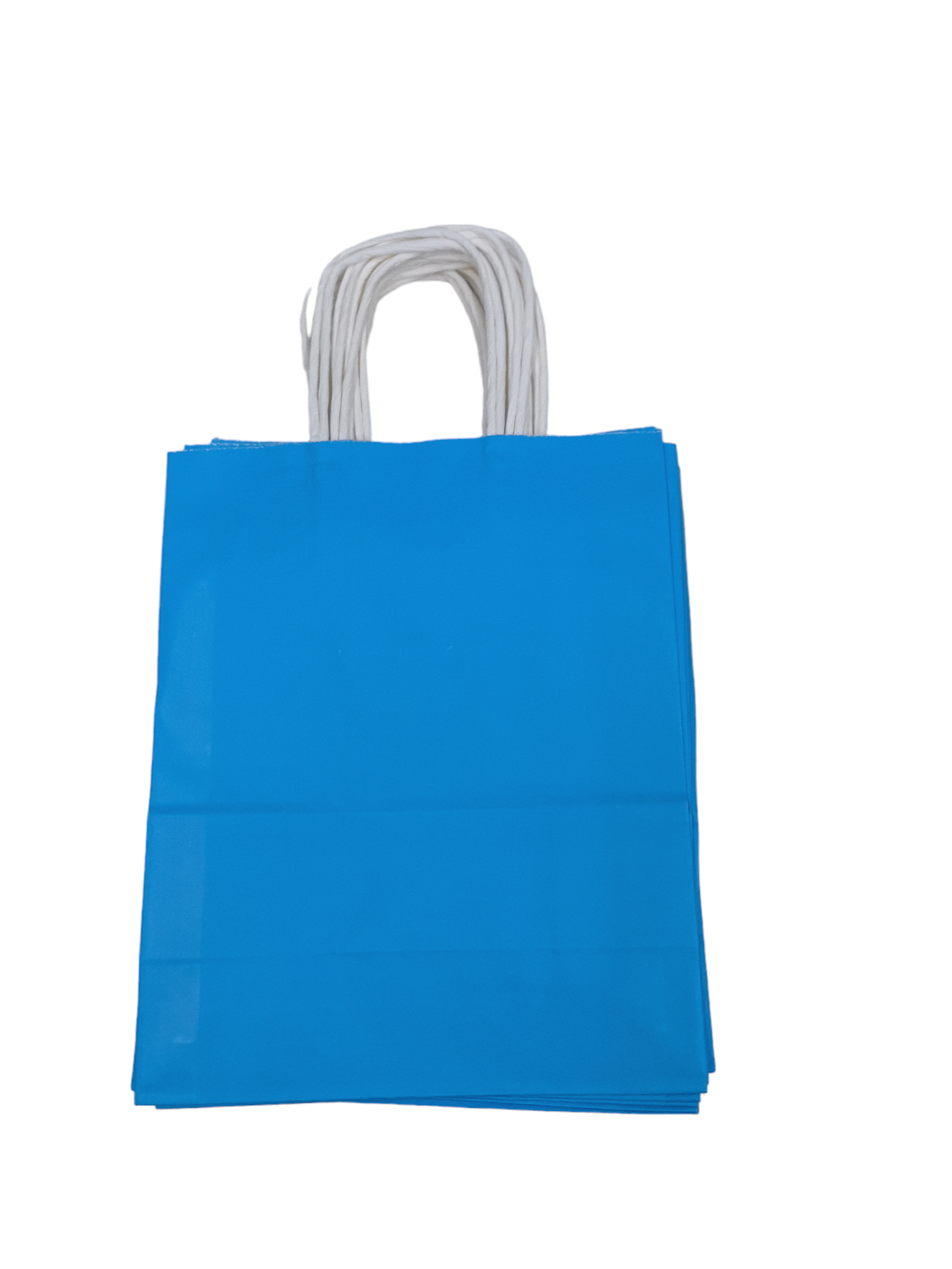 LOT DE 24 - Sacs kraft boutique (couleurs au choix)T22*11*27