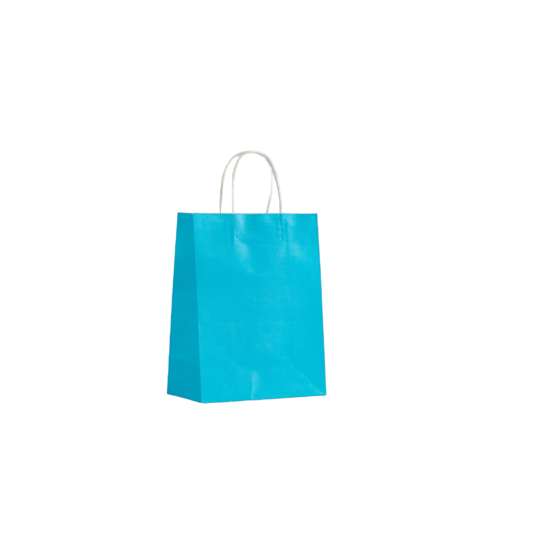 LOT DE 24 - Sacs kraft boutique (couleurs au choix)T12*6*15