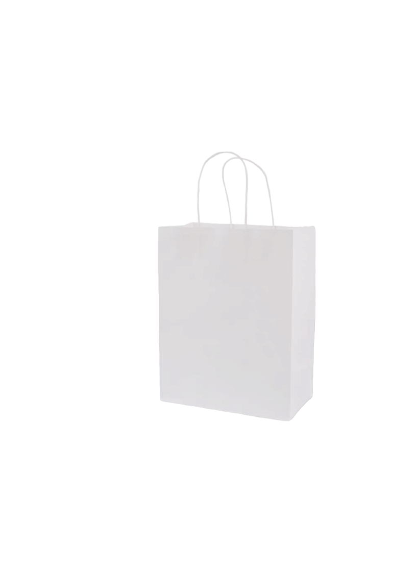 LOT DE 24 - Sacs kraft boutique (couleurs au choix)T16*8*22 l