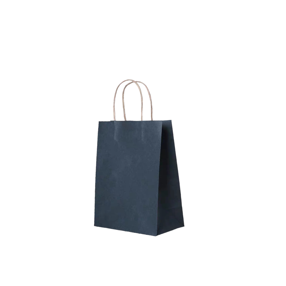 LOT DE 24 - Sacs kraft boutique (couleurs au choix)T16*8*22 l