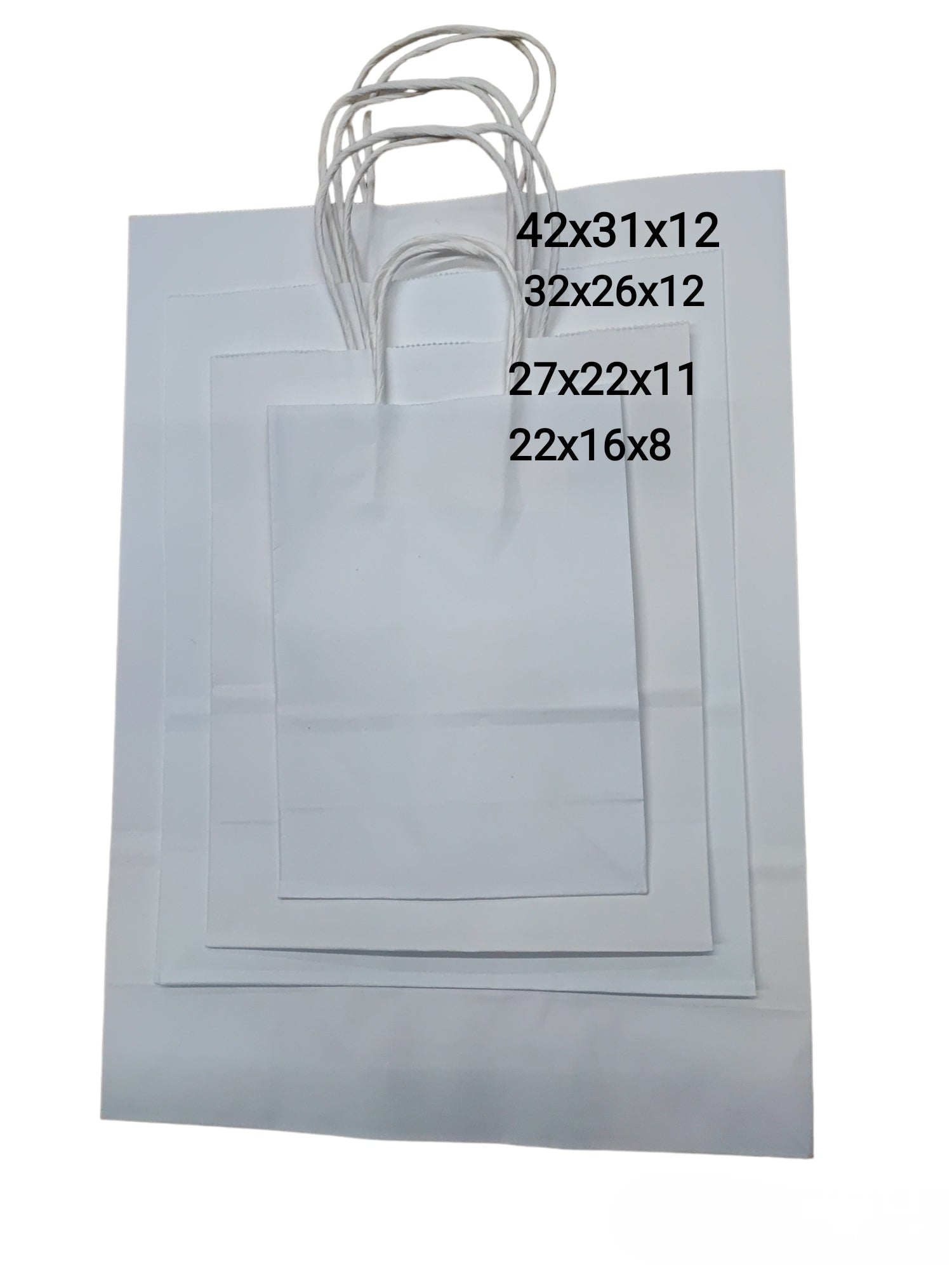 Kraft paper bags 4 sizes (2x12)