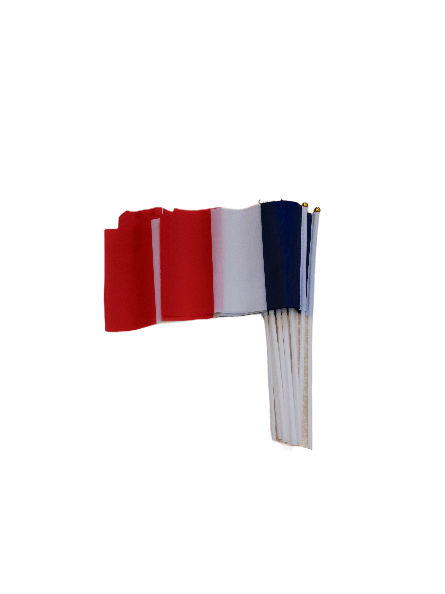 LOT DE 12 - petit drapeau France     0,80€/unité | Grossiste-pro
